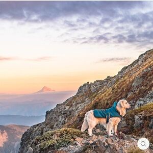 Wilderdog Teal and Tan Dog Hooded Fleece Jacket SZ S